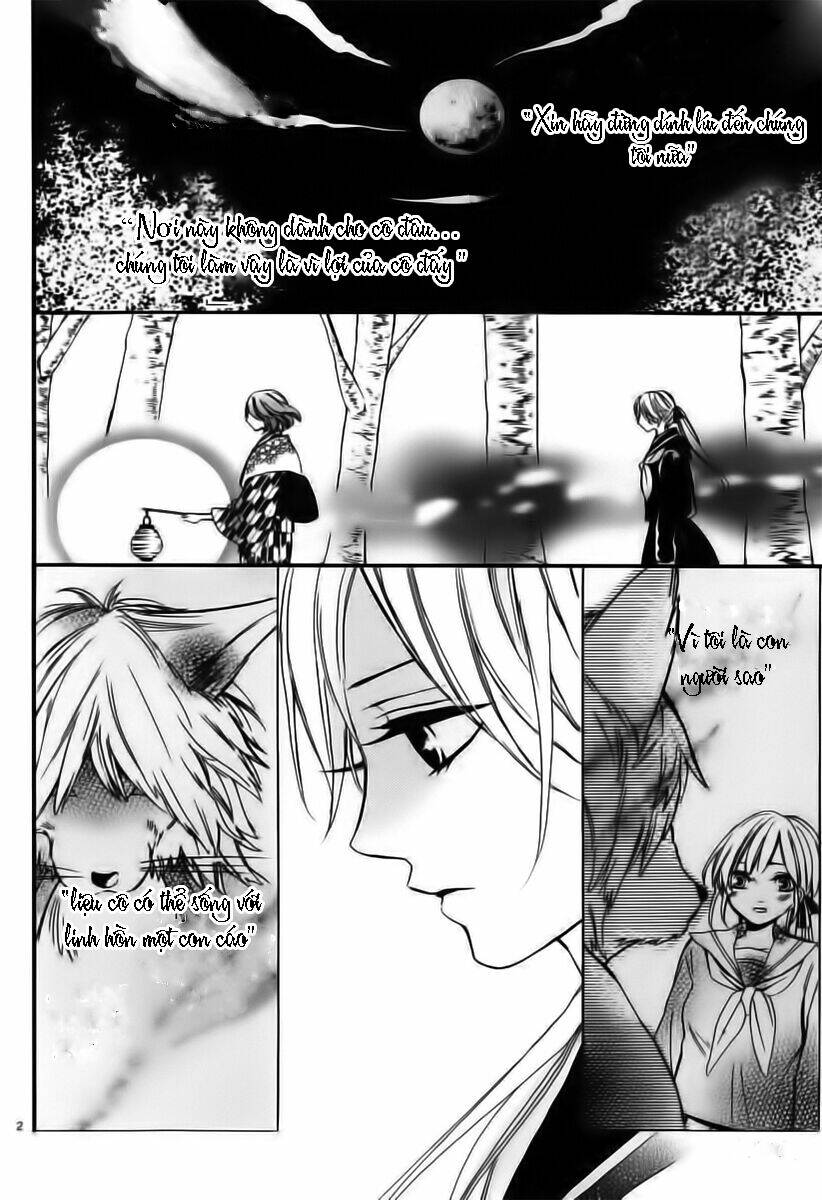 kitsune no yomeiri chapter 5 1