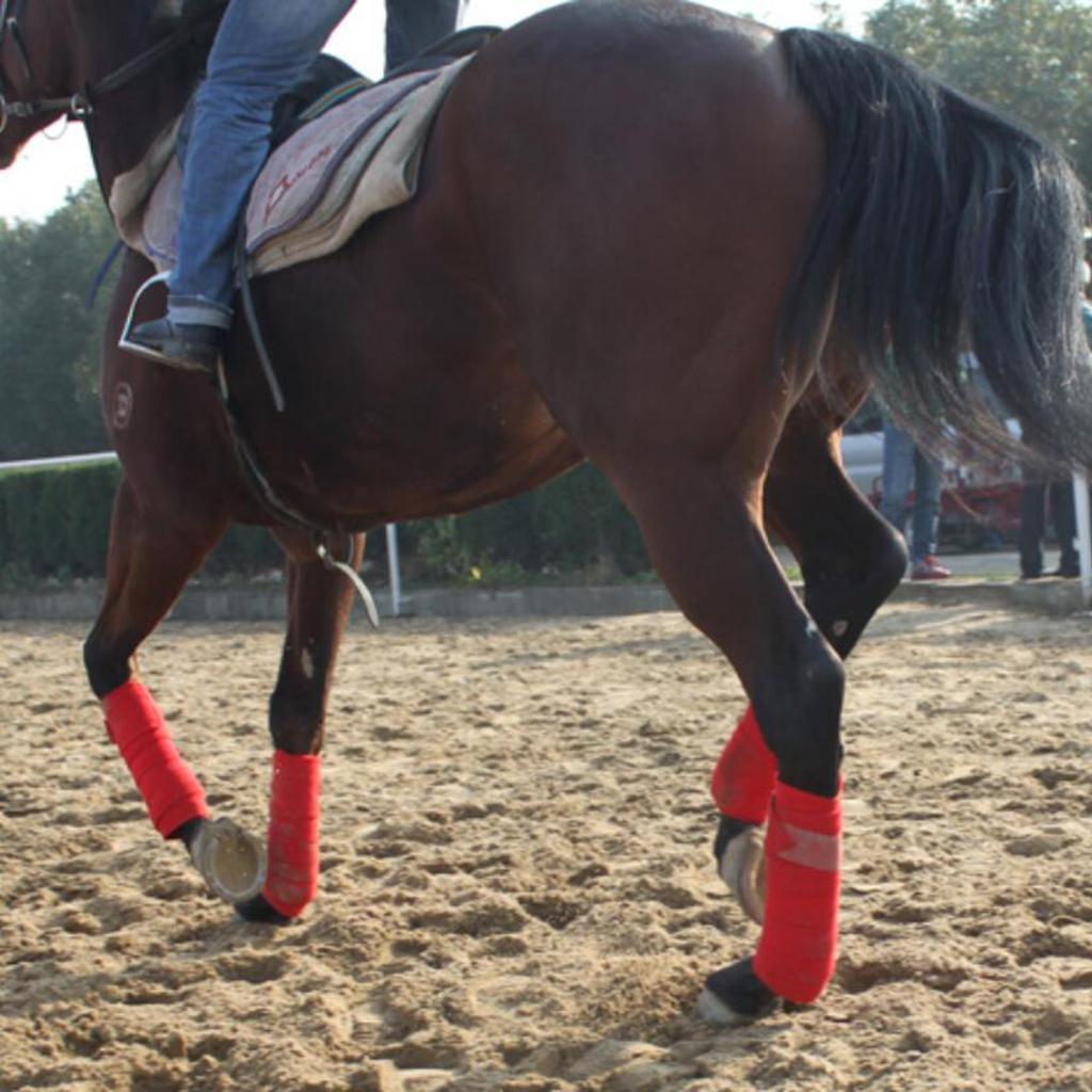 4 Rolls Fleece Leg Wraps Horse Equestrian Boots Bracer Leg Protection Wraps -