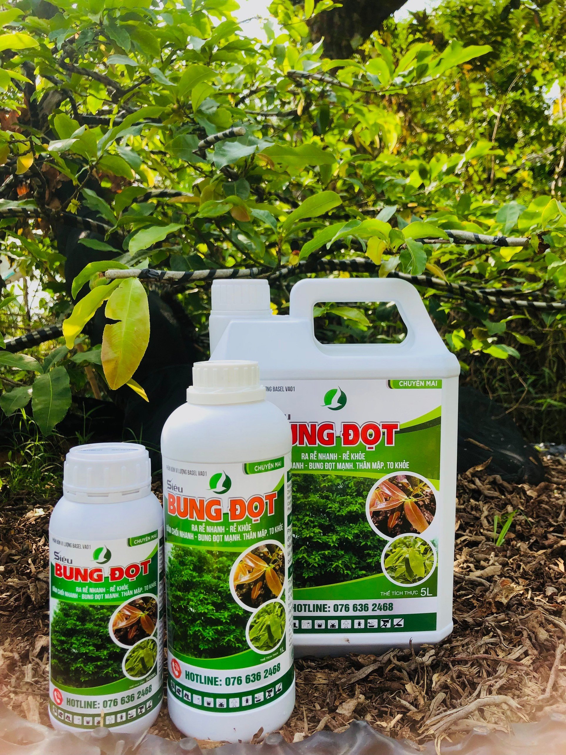 PHÂN BÓN BUNG ĐỌT, MƯỚT LÁ, MẬP ĐỌT CHUYÊN DÙNG CHO CÂY KIỂNG/MAI VÀNG - SIÊU BUNG ĐỌT CHAI 500ML/CHAI 1L VÀ CAN 5L