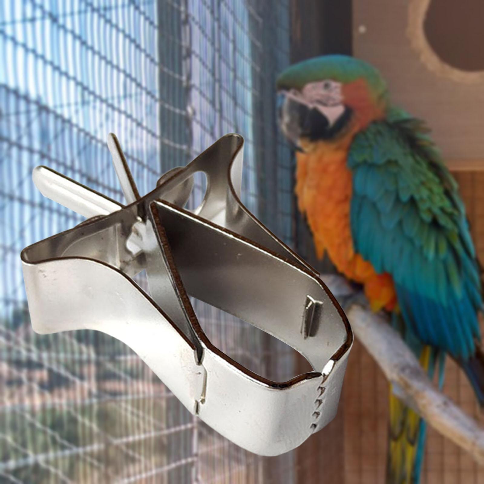Mua Bird Cage Fruit Vegetable Clip Feeder Clip for Parrot Budgie