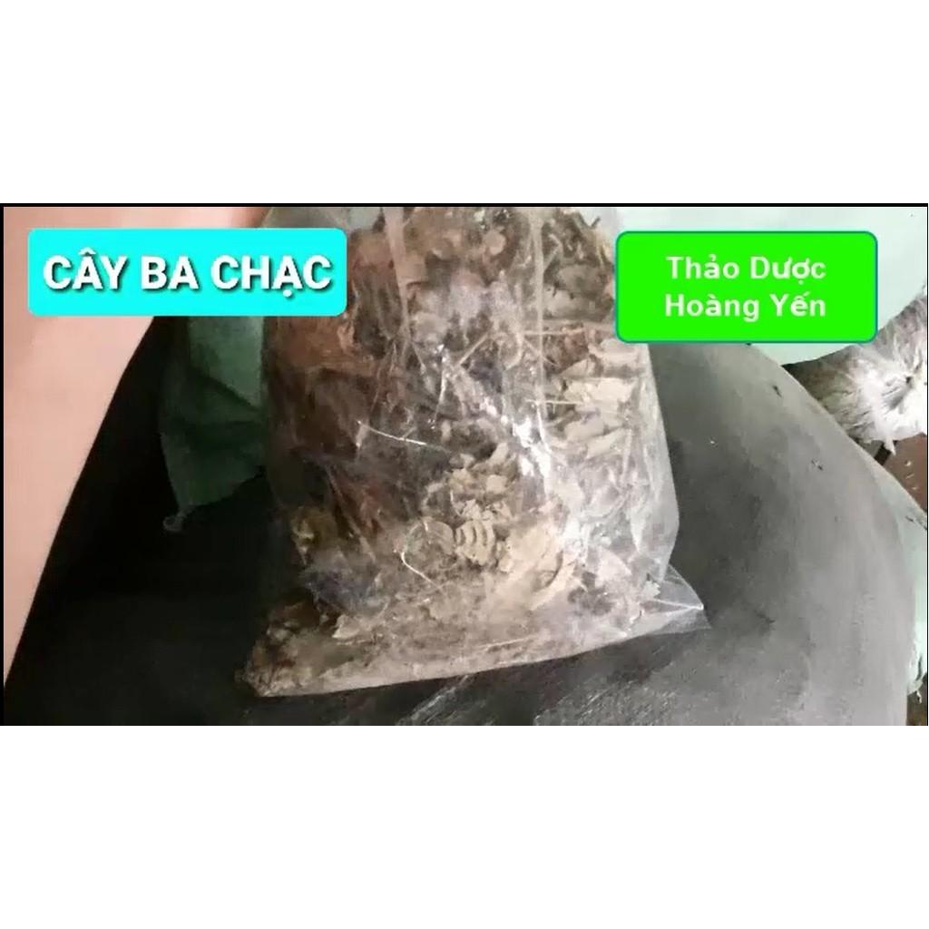 cây ba chạc khô (thân + lá)