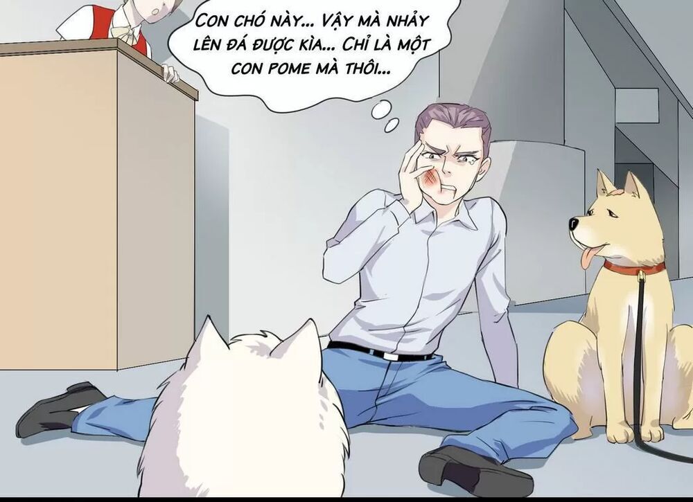 một con chó chapter 53 1