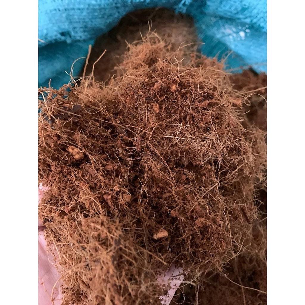 Túi 1kg xơ dừa trồng cây và ươm hạt