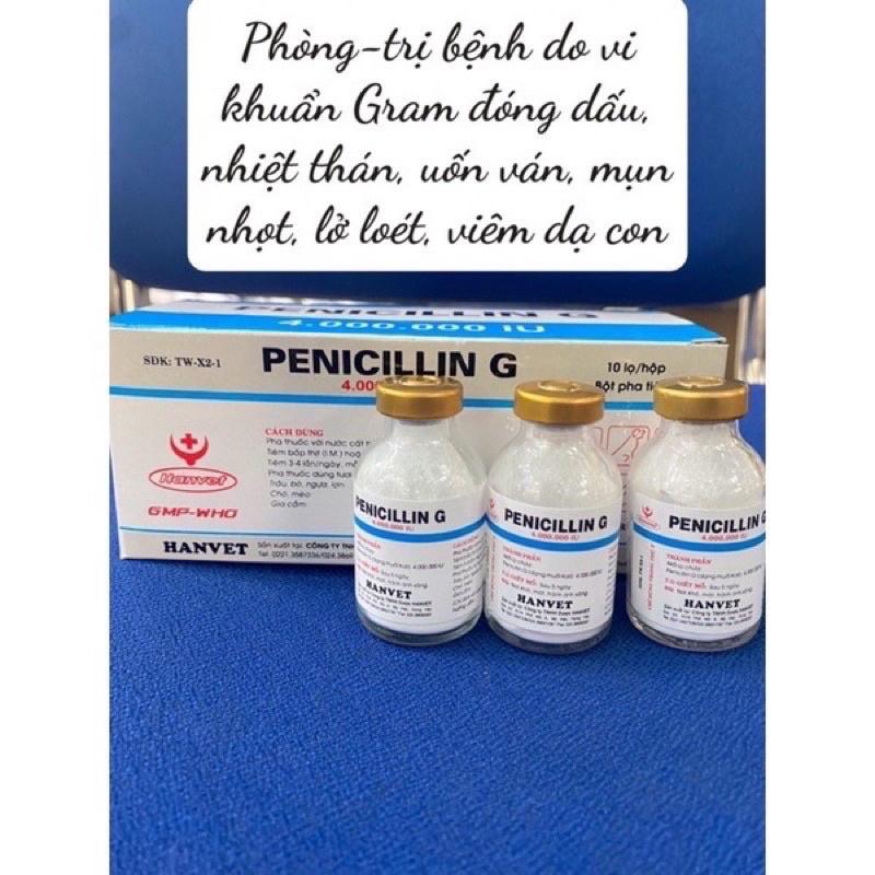 [THÚ Y] 1 lọ PENICILLIN G PENI 4 triệu 4.000.000 IU điều trị bệnh do vi khuẩn gram, đóng dấu, nhiệt thán, uốn ván, mụn nhọt, lở loét dùng cho trâu bò lợn gà chó mèo