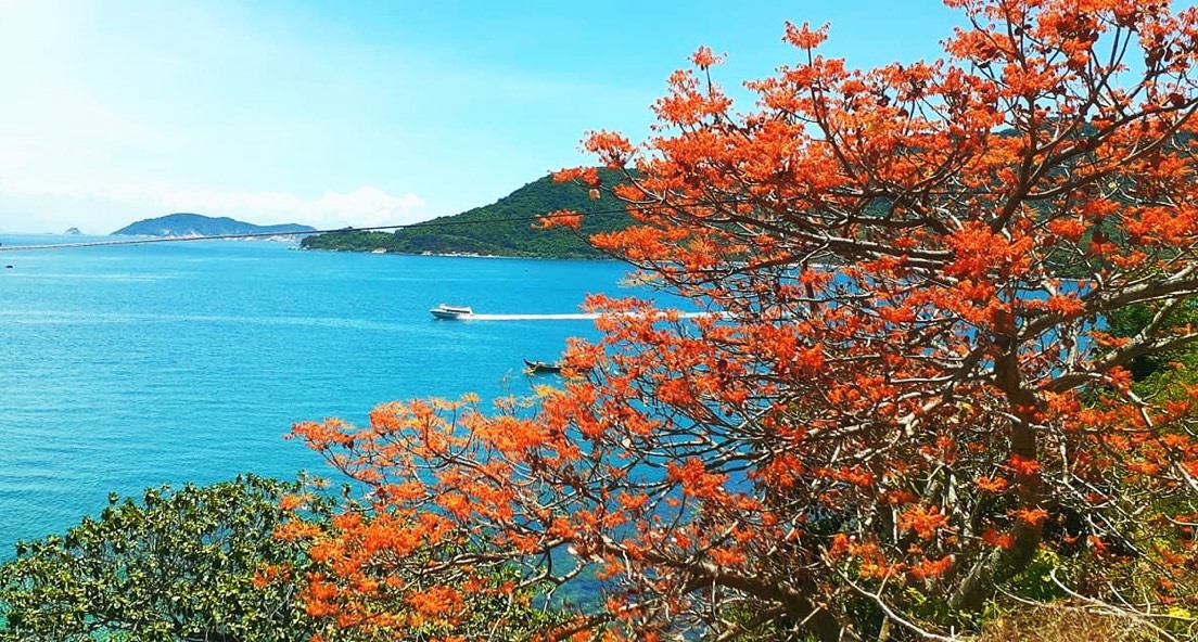 Tour Cù Lao Chàm và lặn ngắm san hô 1 ngày