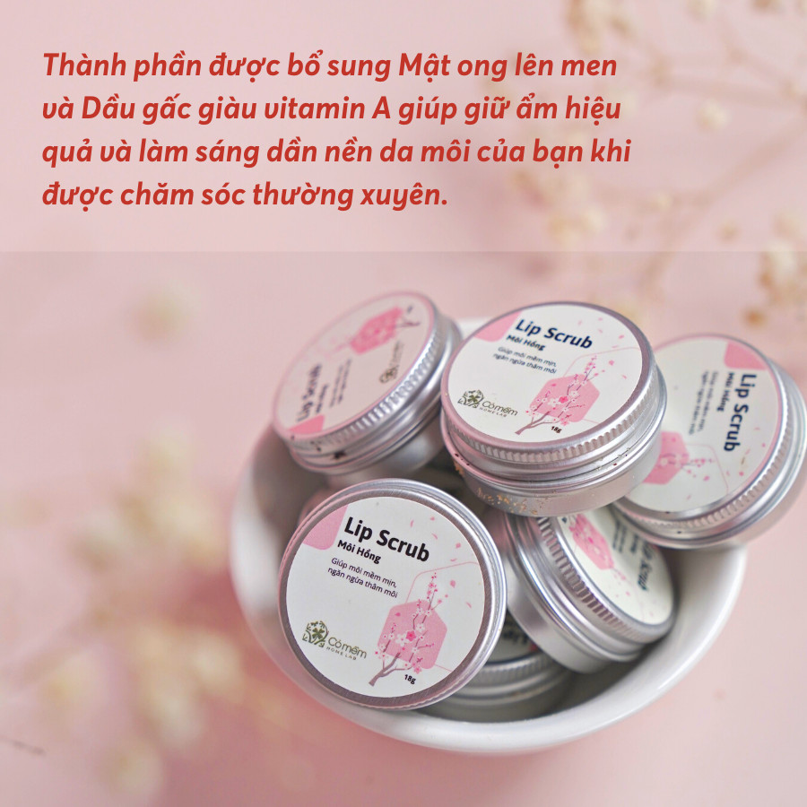 Tẩy da chết môi Lip Scrub Môi Hồng Giảm Thâm Dưỡng Ẩm Cho Môi Cỏ Mềm 18g