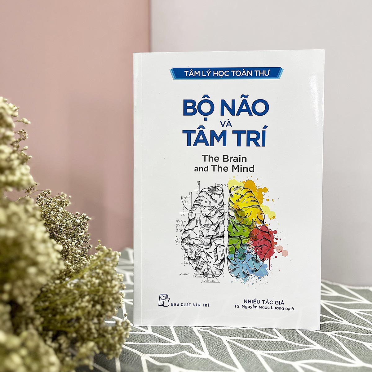 Tâm lý học toàn thư. Bộ não và tâm trí