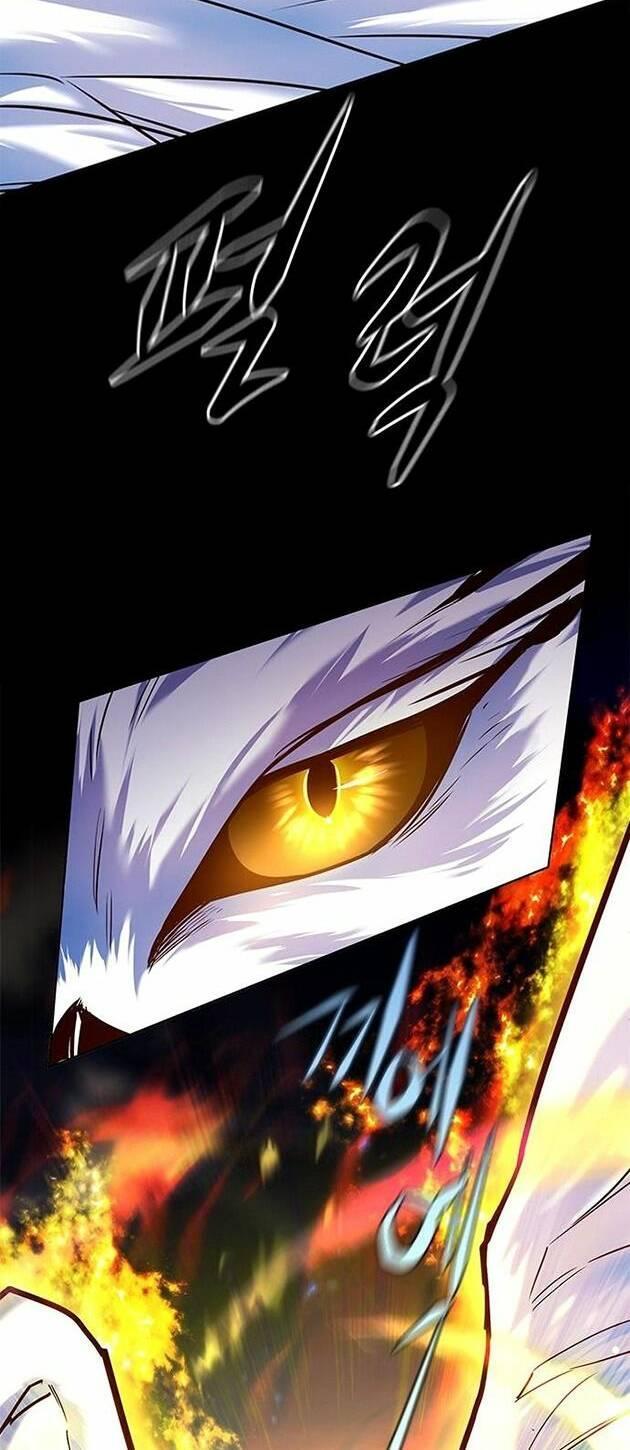 biến thân thành mèo chapter 221 72