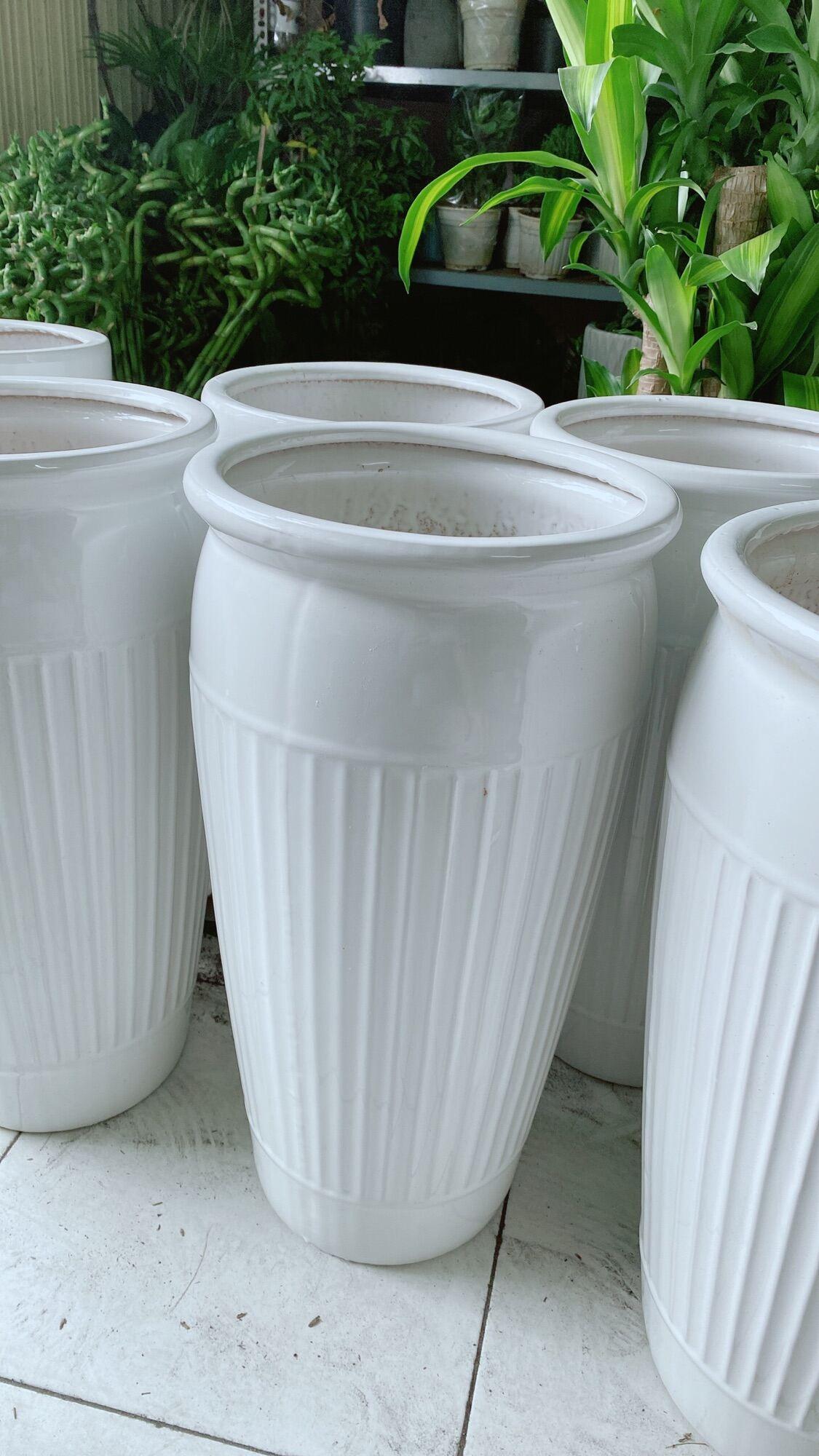 Chậu Trồng Cây Lớn