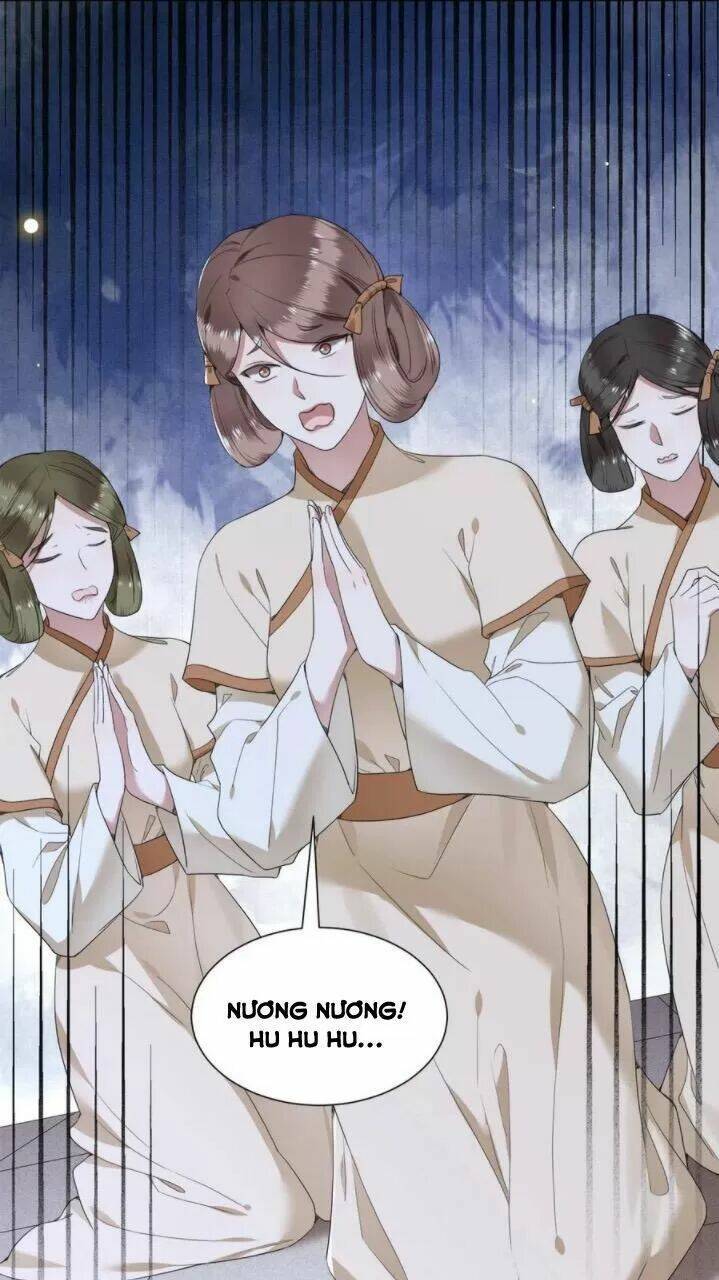 phượng hoàng vu phi chapter 71 22