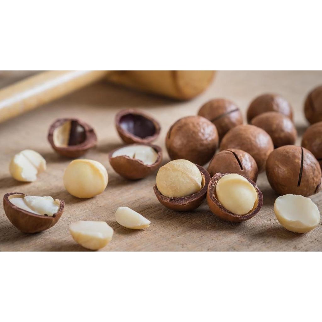 0.5 KG HẠT MẮC CA TÂY NGUYÊN TUYỂN CHỌN . HSD 1 NĂM