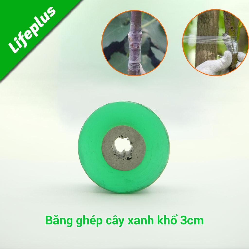 Băng ghép cây xanh