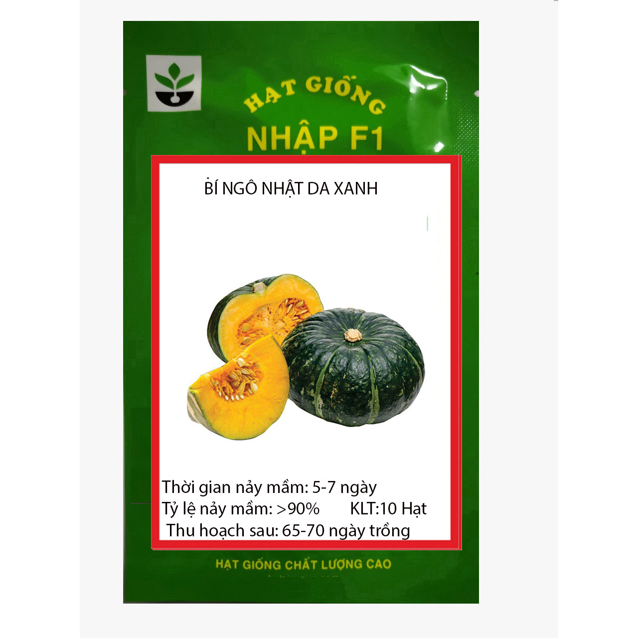 Gói 10 hạt bí ngô da xanh