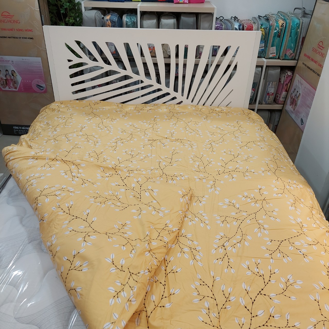 Chăn đông Sông Hồng 2mx2.2m chất cotton