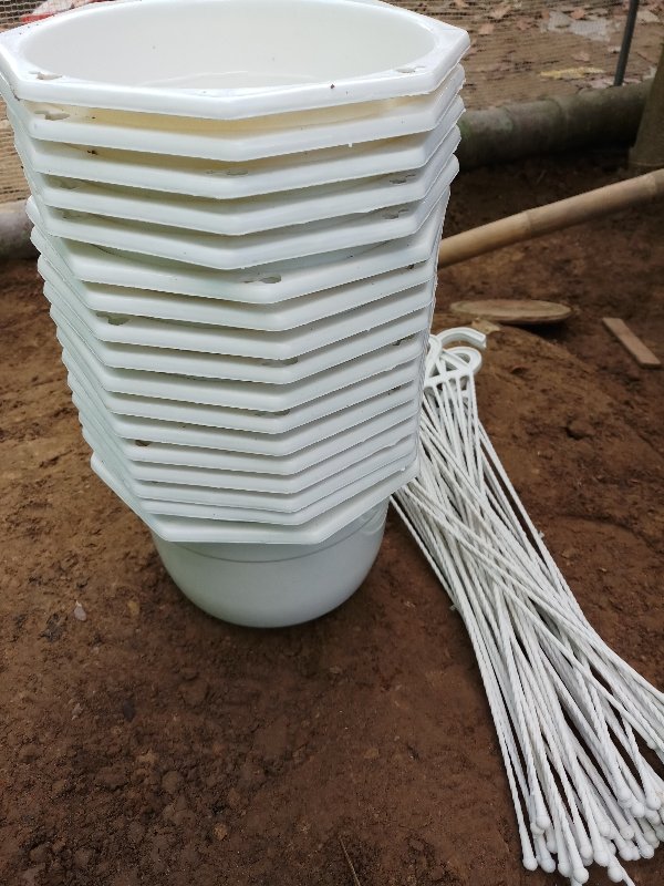 50 chậu treo trắng trơn đường kính 20x15cm-77472