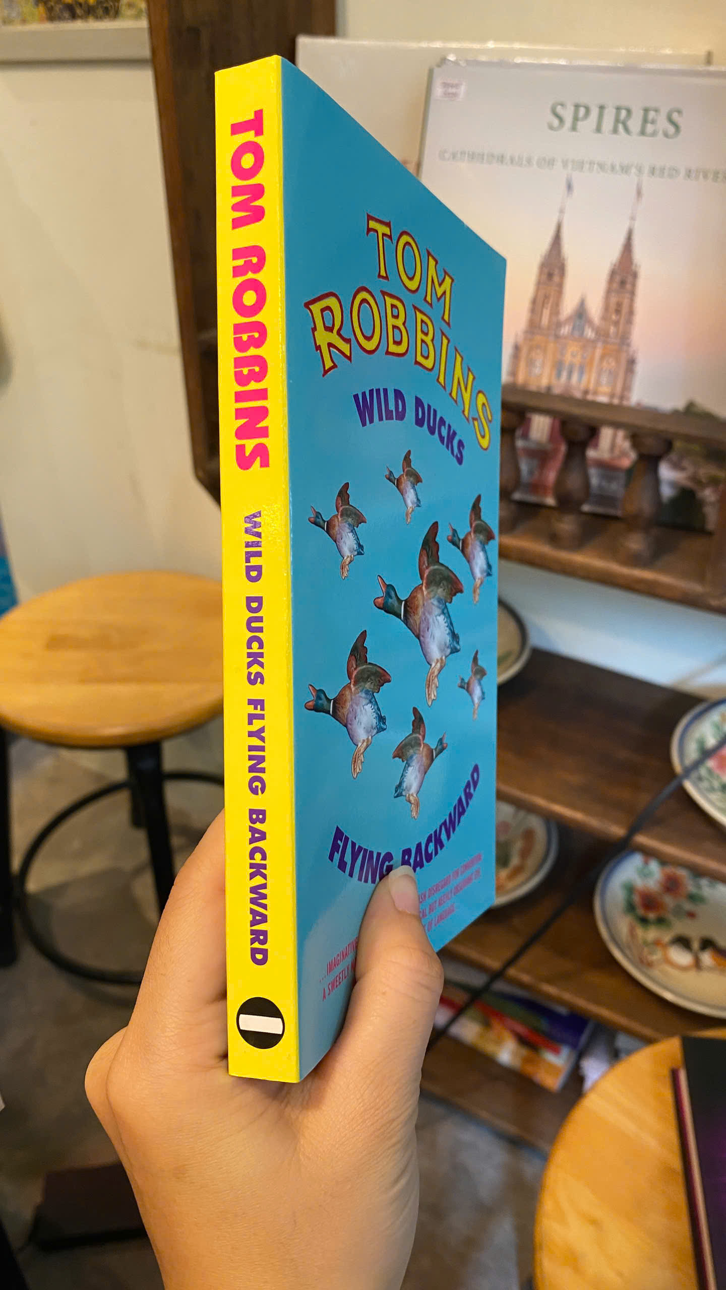 Sách - Wild Ducks Flying Backward by Tom Robbins | English Short Stories - Sách truyện ngắn