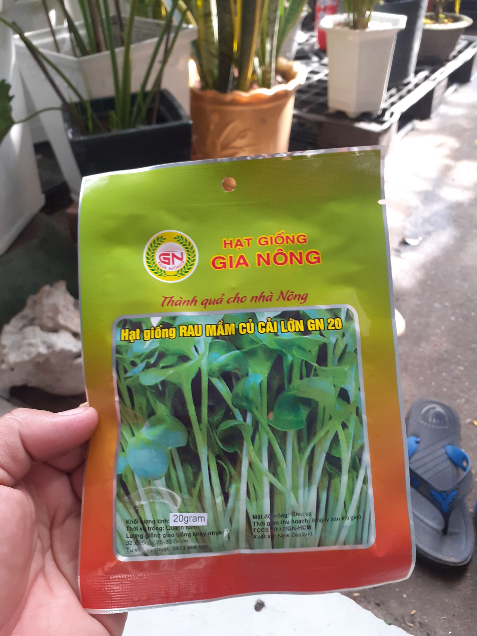 Combo 10 gói hạt giống RAU MẦM CỦ CẢI LỚN