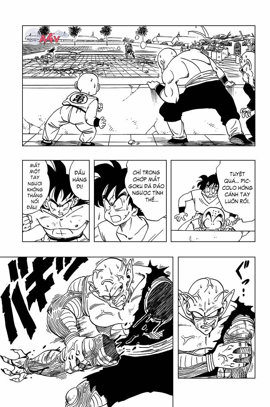dragon ball - bảy viên ngọc rồng chapter 189 12