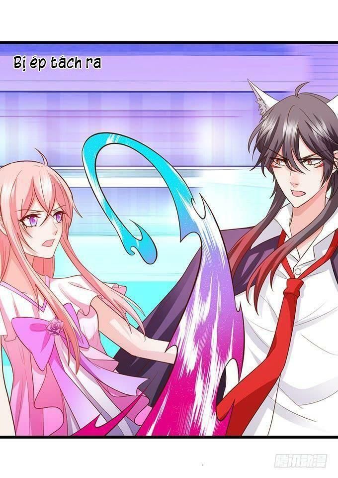 hồ tiên hung bạo chapter 99 72