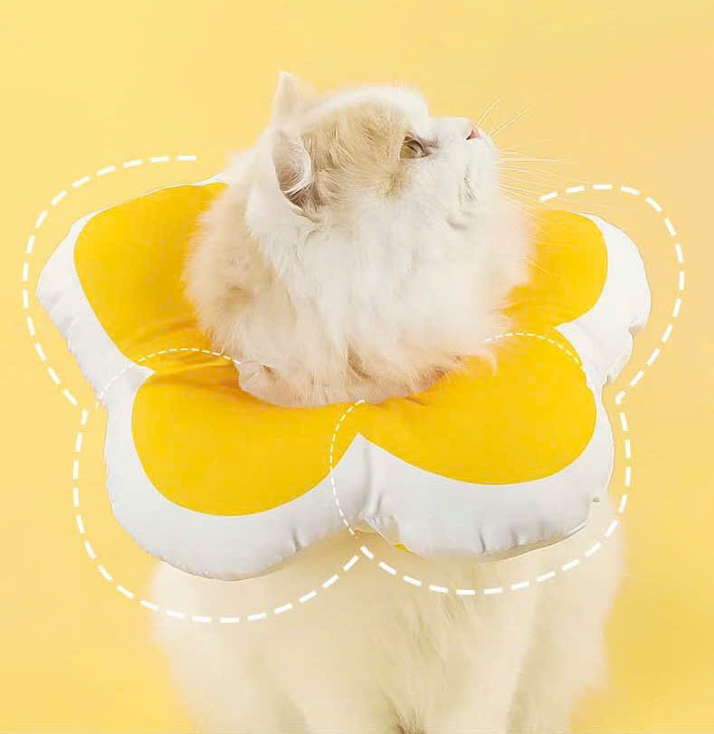 VÒNG CỔ THÚ CƯNG VÒNG CỔ LOA CHỐNG LIẾM CHO THỎ CHÓ MÈO BÔNG HOA DỄ THƯƠNG TỪ 0.5-5.5KG MÃ 10 CHO CHÓ MÈO THỎ