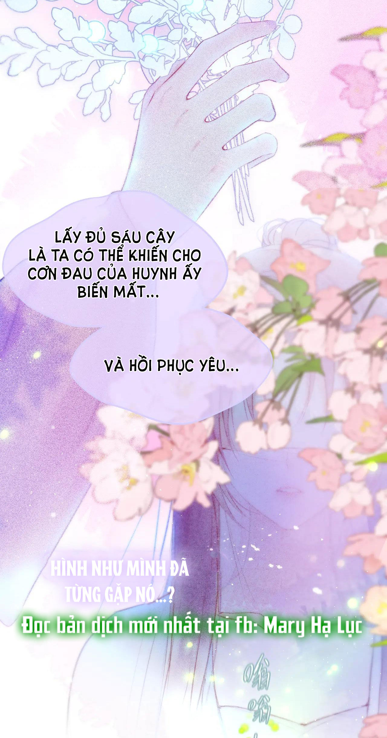 cạm bẫy của hồ ly chapter 29.1 15