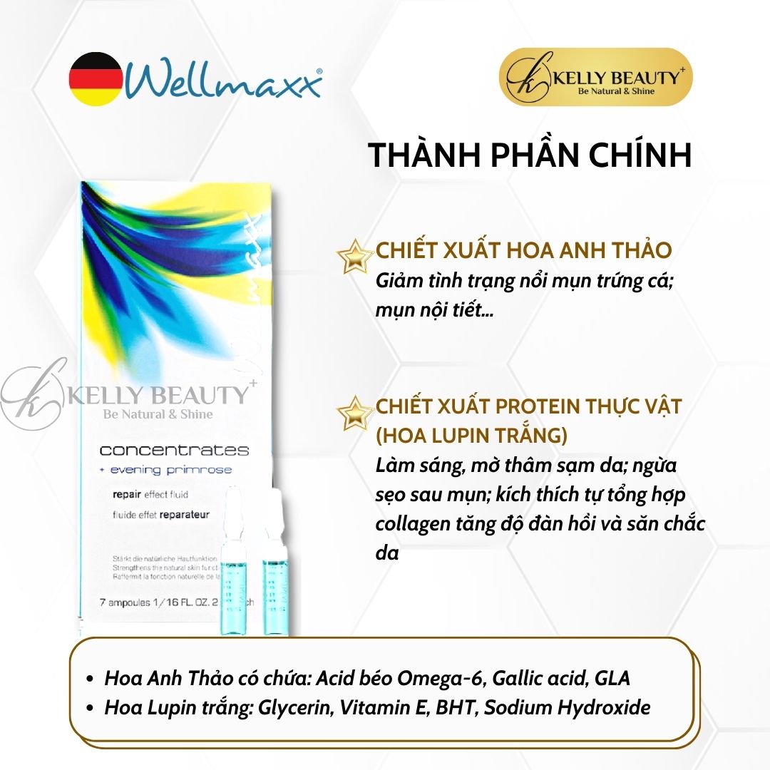 Huyết Thanh Hoa Anh Thảo WELLMAXX - Giảm Sưng Viêm, Ngừa Mụn; Kiềm Dầu, Mờ Thâm Mụn, Sáng Da