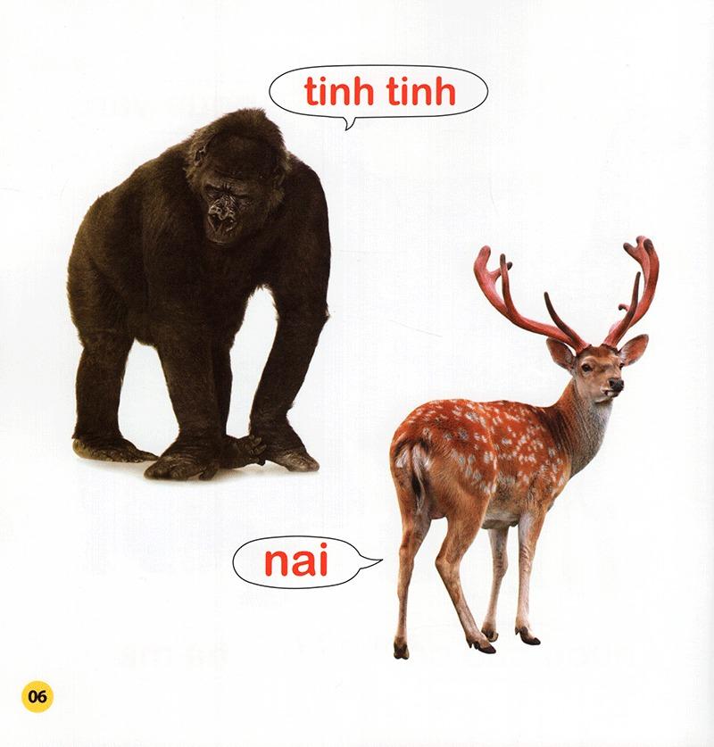 100 Từ Đầu Đời Của Bé: Con Vật (Tái Bản 2023)