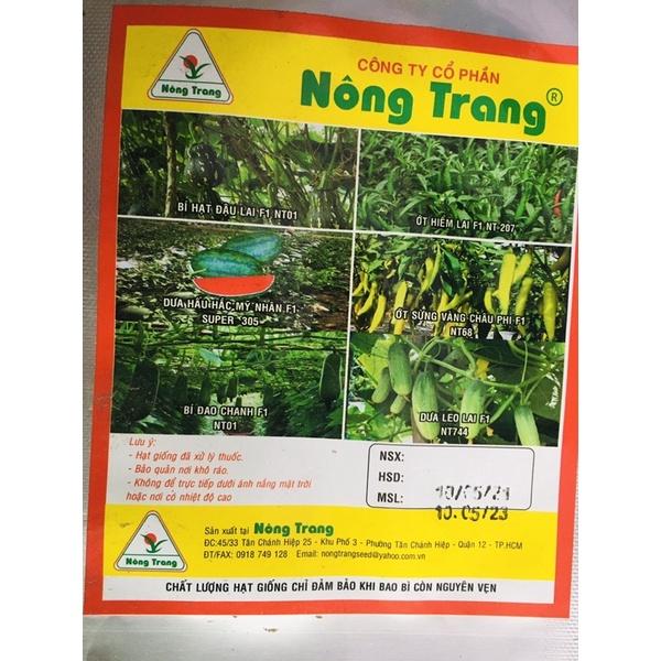 HẠT GIỐNG DƯA CHUỘT CHÙM