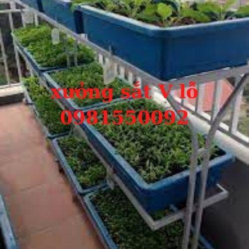 kệ v lỗ trồng rau ( sắt V4x4cm),'rộng 67cm x dài 1.3m" x ( chiều cao 1m,1.2m,1.5m ) nhiều tầng