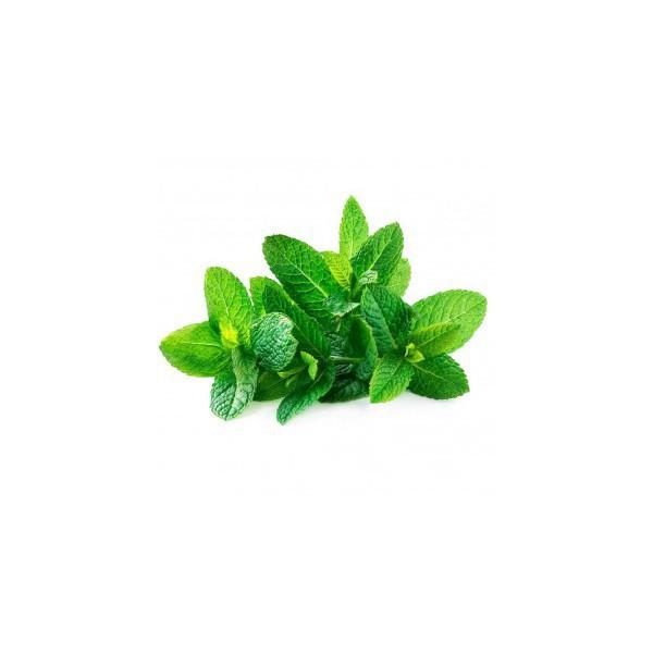 0.1g Hạt Giống Húng Bạc Hà