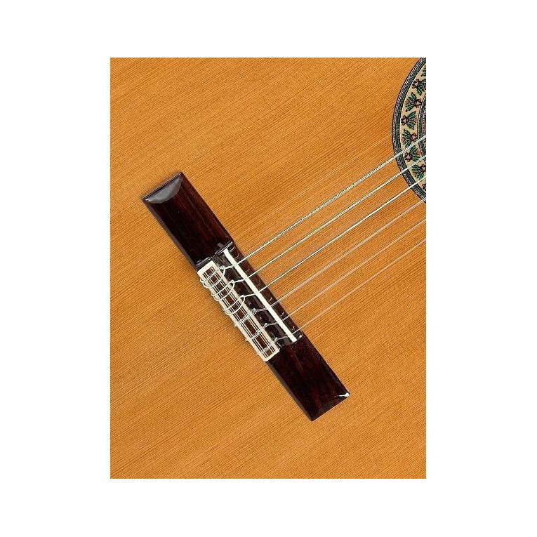 Đàn Guitar Cao Cấp Classic Alhambra - 5P E8 - Hàng chính hãng