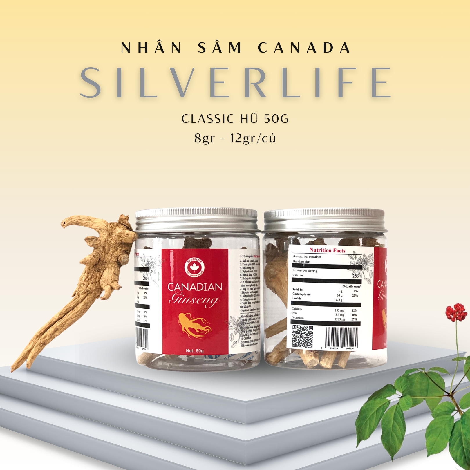 Nhân sâm Canada SilverLife Classic hũ 50g | Nhân sâm Canada khô nguyên củ