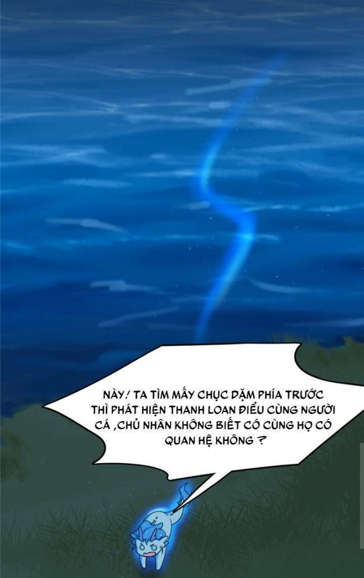 độc bộ thiên hạ: đặc công thần y chapter 162 6