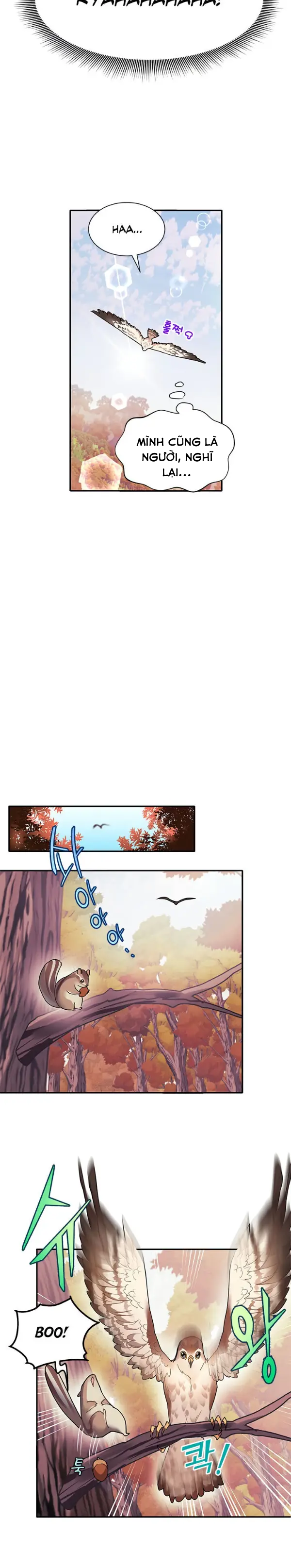 công chúa chim ưng cavier chapter 2 10