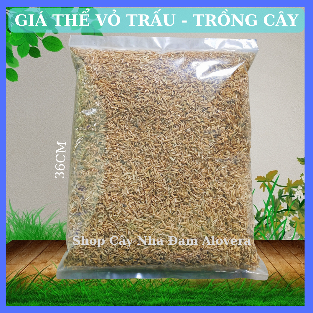 Trấu sống - Giá thể trấu sống trồng cây