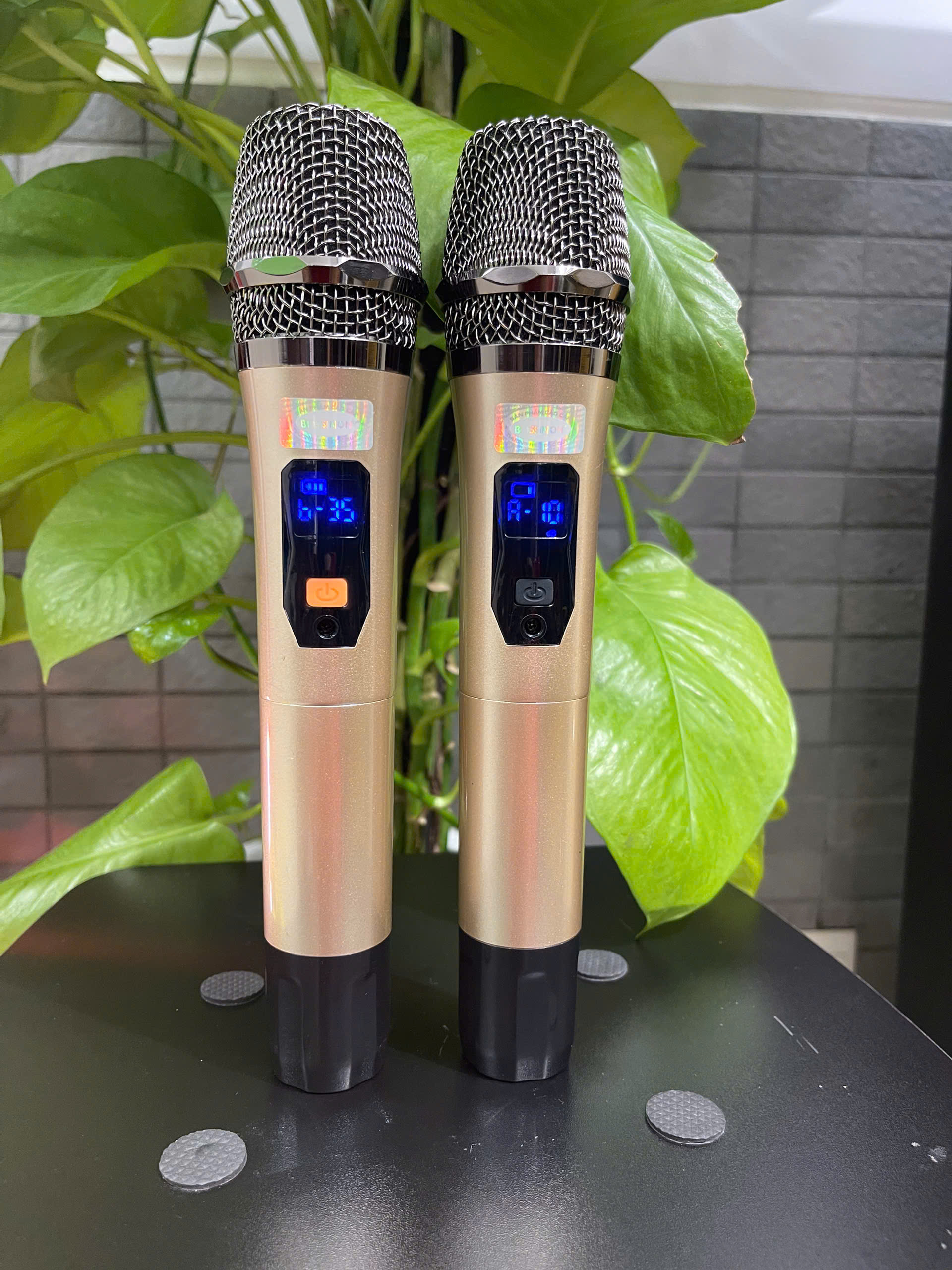 MICRO BOSSINON KÈM BO TẦN SỐ CAO CẤP - Bảo hành chính Hãng 6 tháng (linh kiện điện tử) - hàng chính hãng