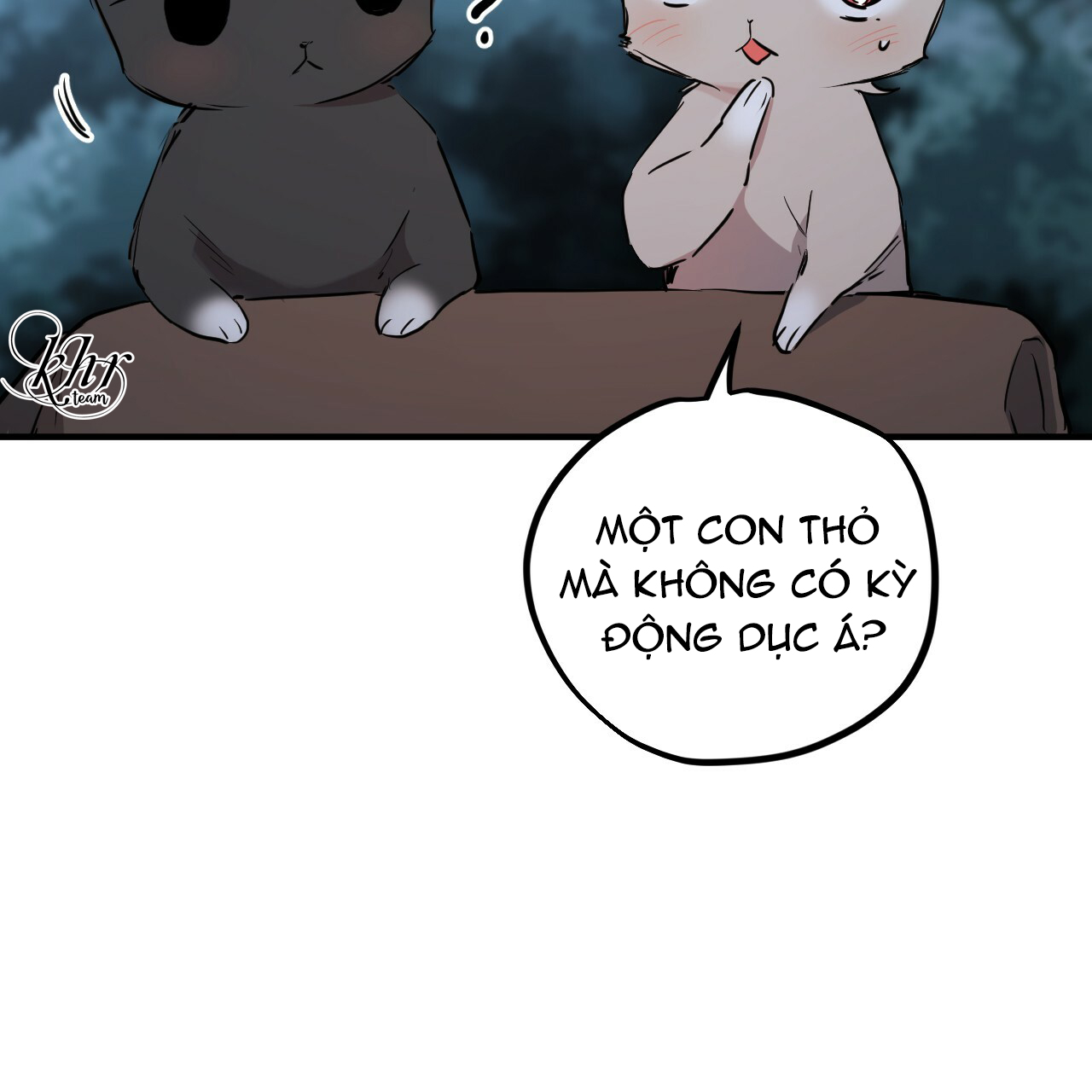 những chú thỏ của hapypy chapter 20 35