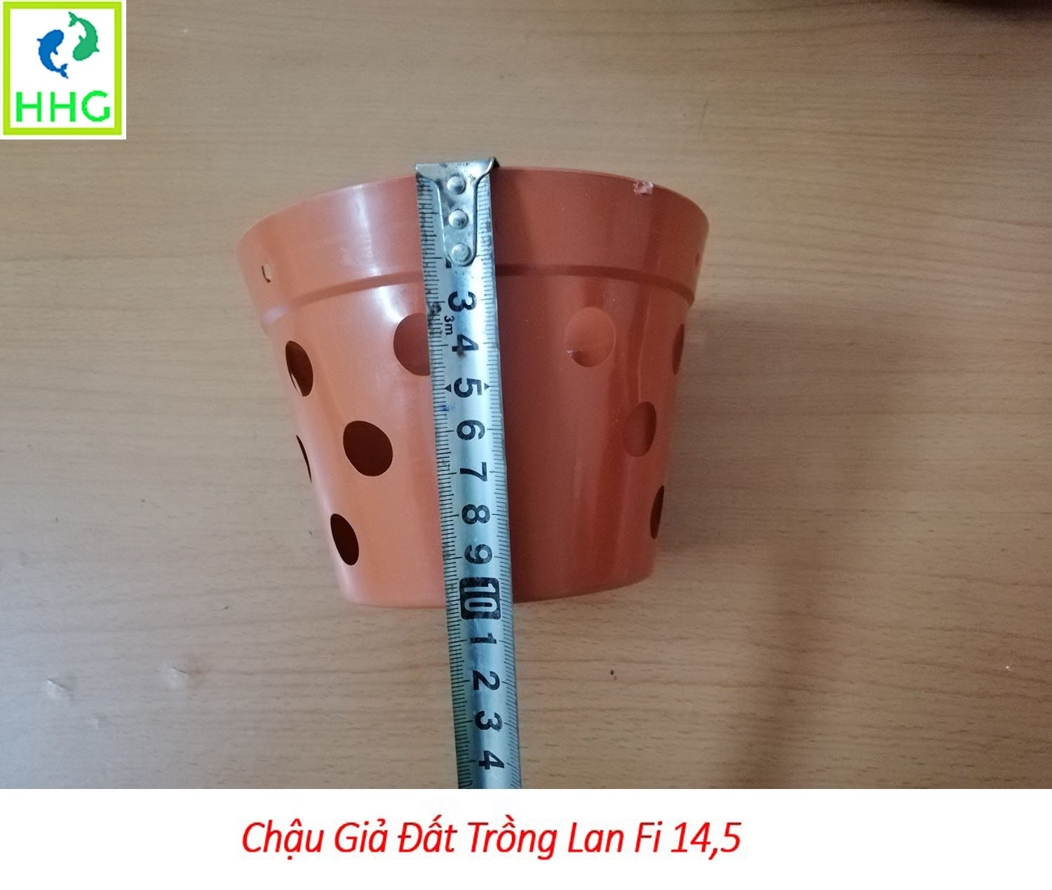 10 chậu giả đất trồng lan Fi 14.5 - đường kính 14.5cm