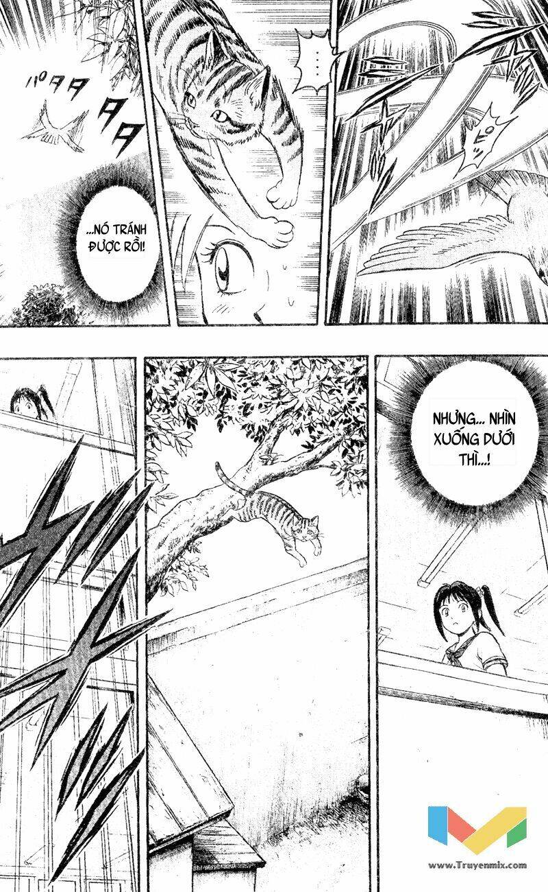 animal sense chapter 1 18