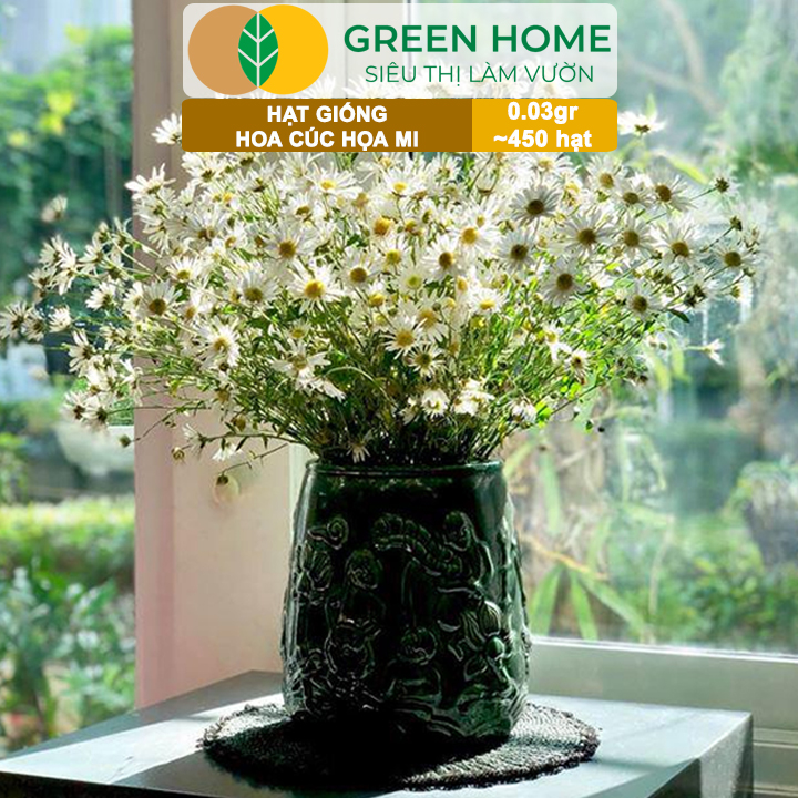 Hạt Giống Cúc Hoạ Mi Greenhome, Gói 0,03gr~450 hạt, Dễ Trồng Quanh Năm, Hoa Trắng, Nhuỵ Vàng H04