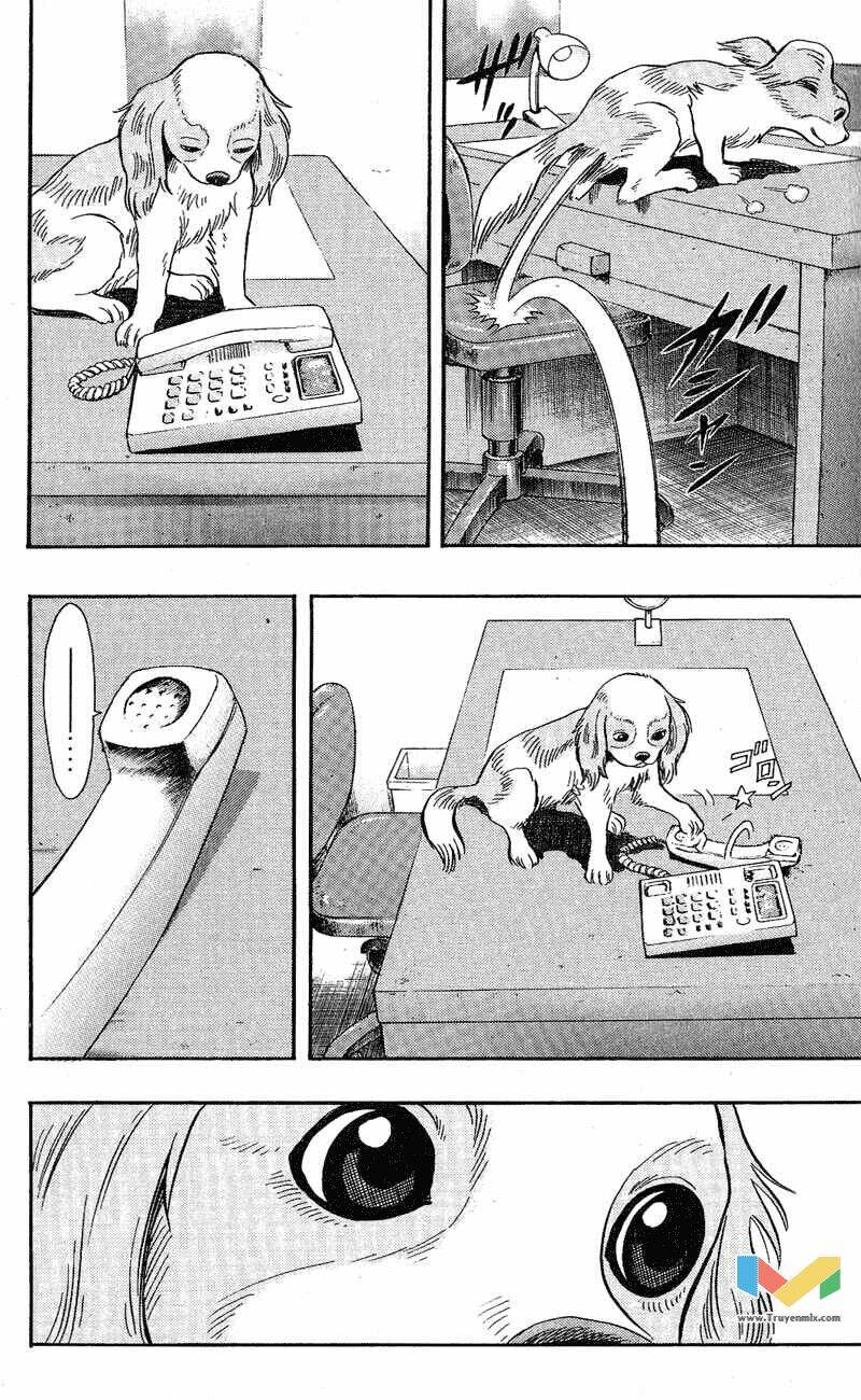 animal sense chapter 7 18