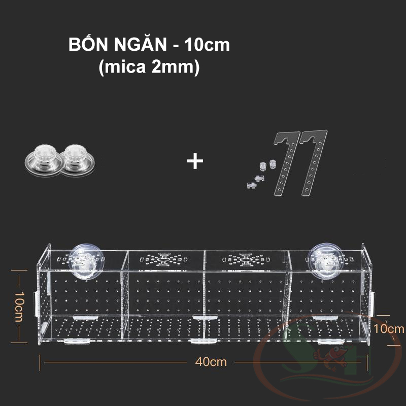 Box mica hít treo đa năng lồng tách dưỡng cây cá tép