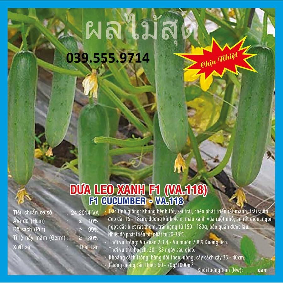 Hạt giống Dưa Leo Xanh F1  Chịu Nhiệt – 10gram