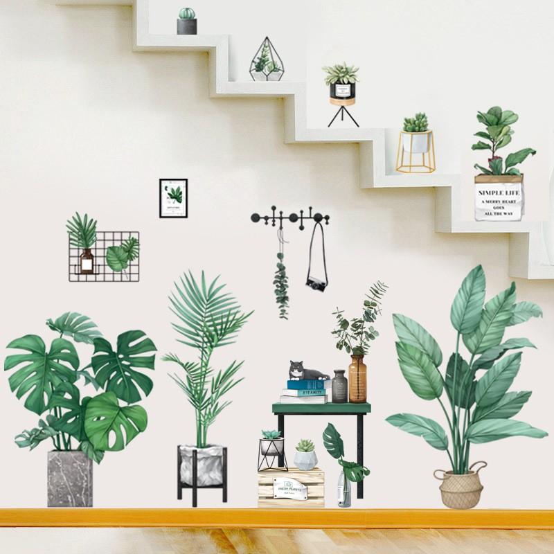 DECAL DÁN TƯỜNG PHONG CÁCH HÀN QUỐC NHIỆT ĐỚI Chậu cây xanh SIÊU TO NHẤT 01
