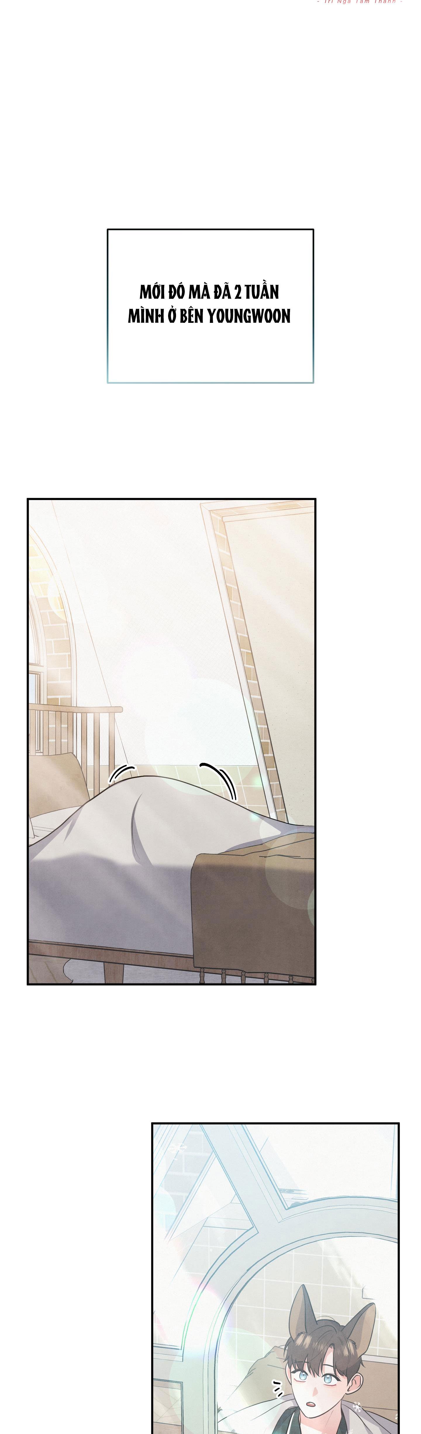 mối quan hệ ngu ngốc chapter 37 6