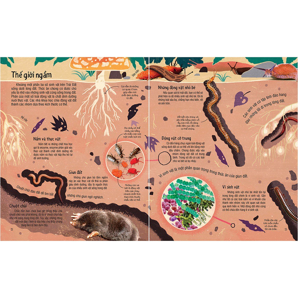 Under Your Feet - Dưới Đôi Bàn Chân Bạn - Đất, Cát Và Ti Tỉ Thứ Dưới Lòng Đất