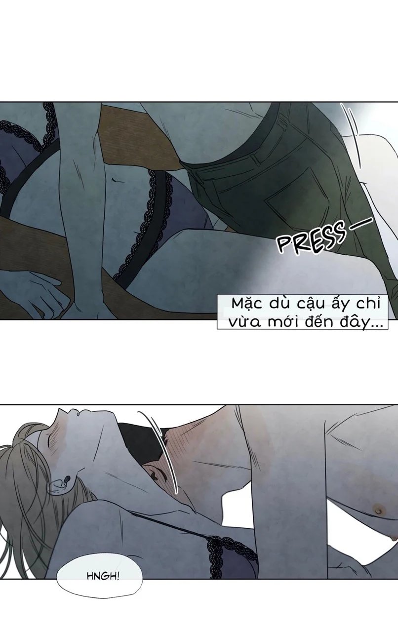 summer solstice point chapter 6 4