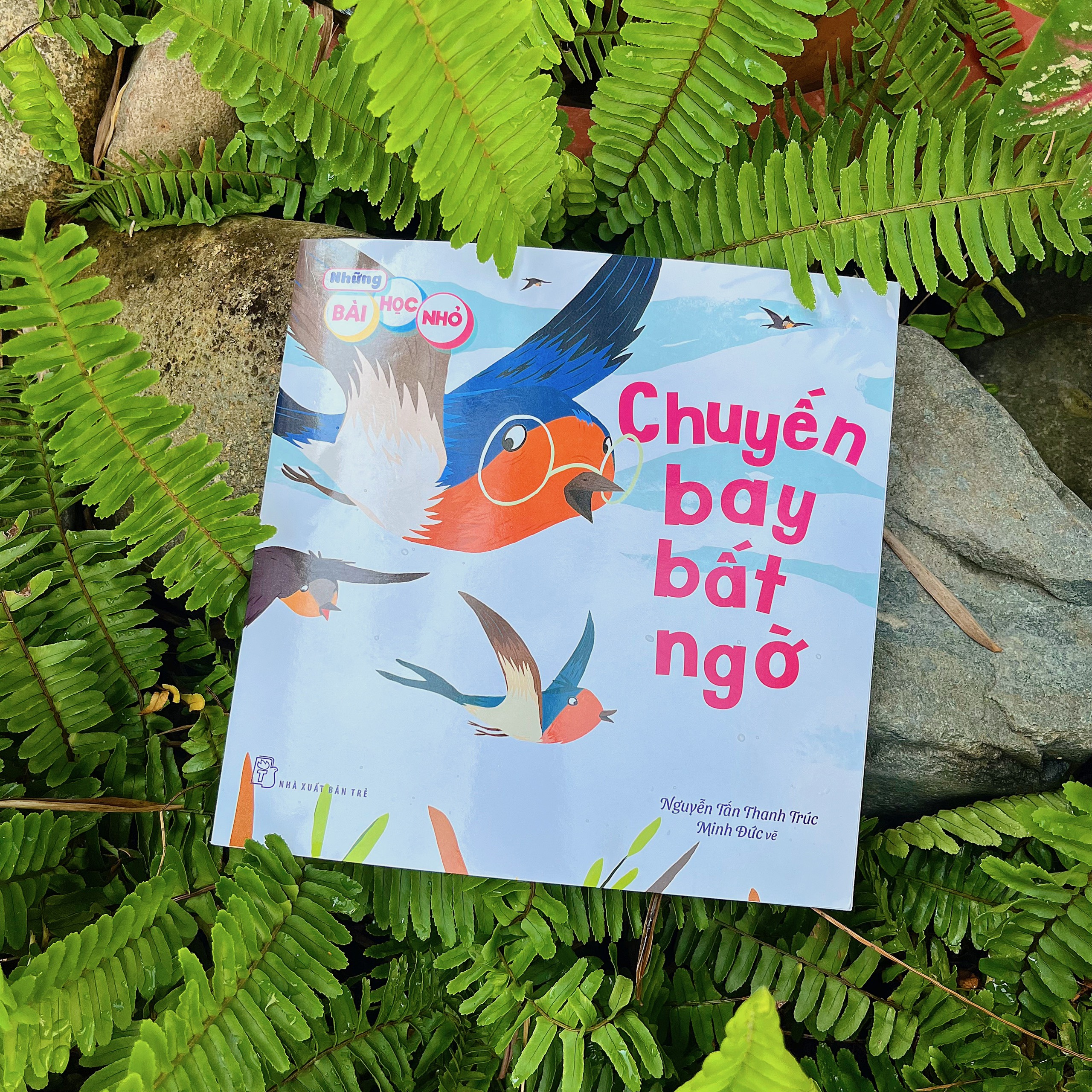 Những Bài Học Nhỏ. Chuyến Bay Bất Ngờ