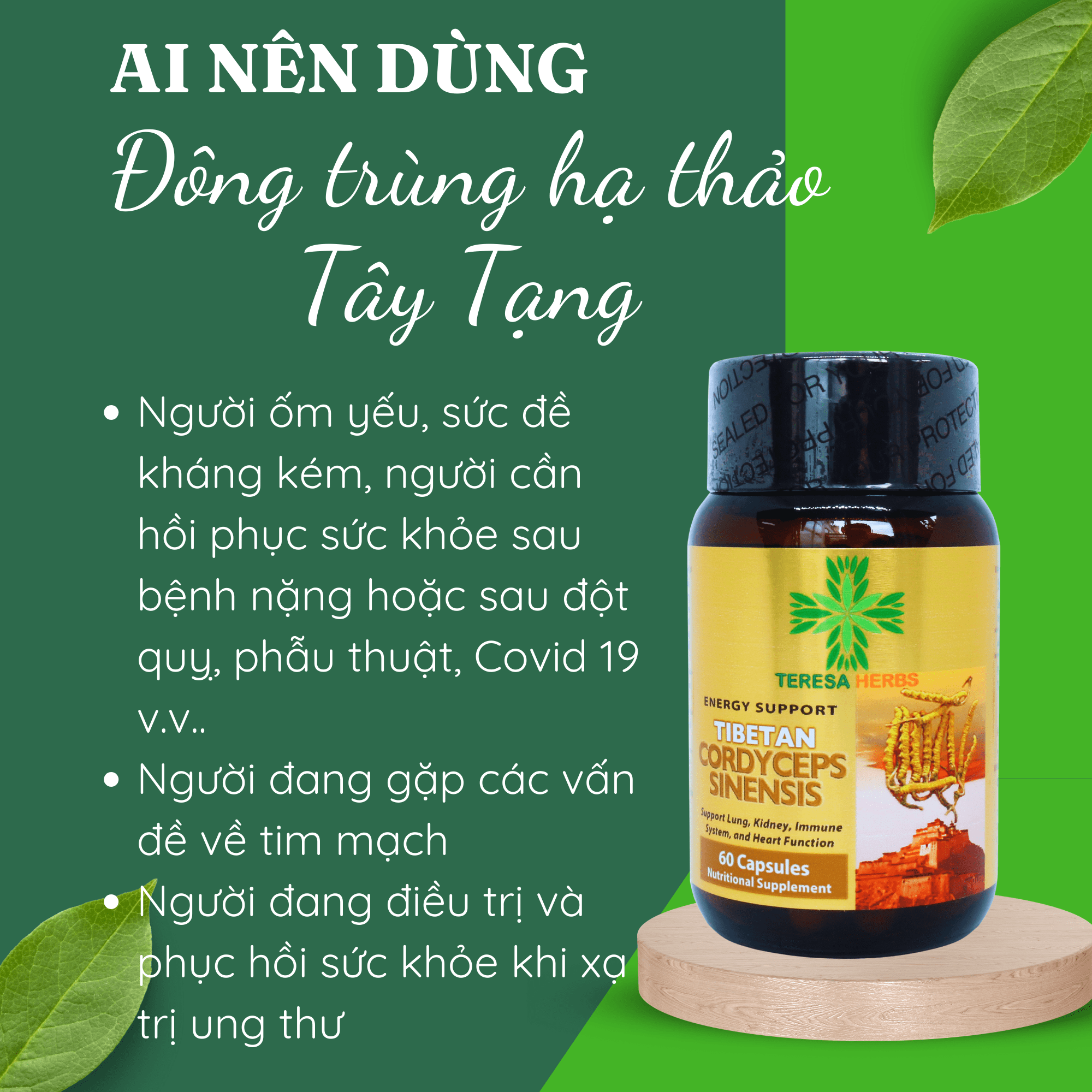 Đông Trùng Hạ Thảo Tây Tạng (Made in USA) - Hoạt chất Polysacharide và Cordycepin/Adenosine cao, giúp tăng đề kháng, hệ miễn dịch nhanh, bổ phổi, bổ thận, ngủ ngon, giảm mệt mỏi, chống lão hóa, tăng cường sinh lý ( 60 Viên 500mg/ viên)