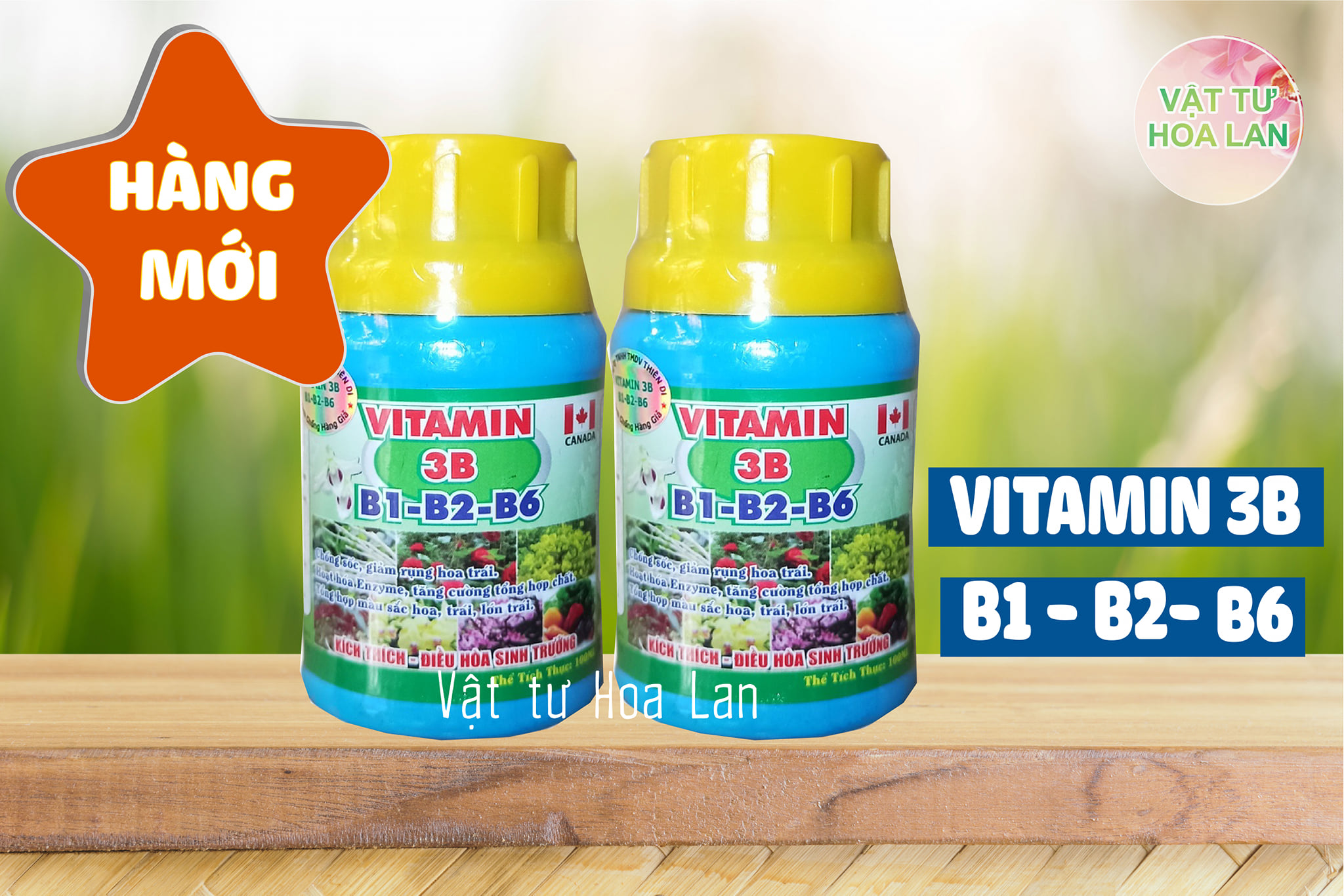 Vitamin 3B Chống sốc, giải độc, điều hòa sinh trưởng cho Lan và cây cảnh 100ml
